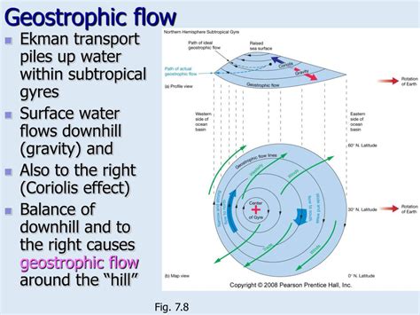 Force Diagram For Geostrophic Flow Geostrophic Circulation V