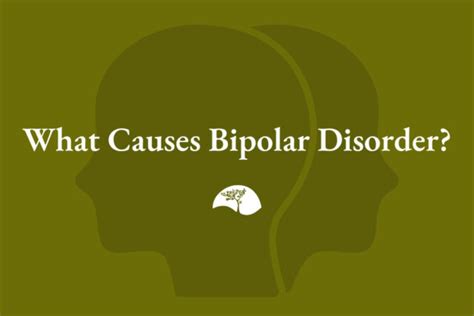 What Causes Bipolar Disorder Manic Depression Symptoms