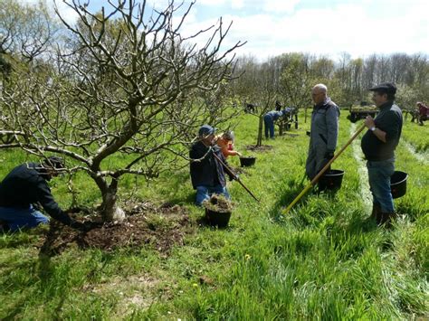 Avril Binage Paillage Greffe En Couronne Avalou Plabenneg