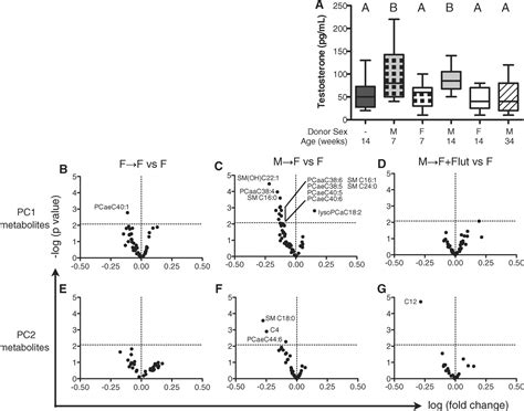 Sex Differences In The Gut Microbiome Drive Hormone Dependent