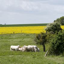 Évolution des modes de portage du foncier Ministère de l Agriculture