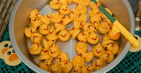 Bucket with Yellow Plastic Ducks · Free Stock Photo