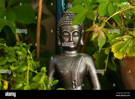 Buddha decorative statue in a garden Stock Photo - Alamy