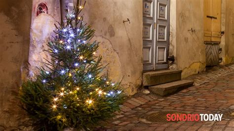 Morbegno A Natale Piccoli Abeti Addobbati Al Posto Delle Luminarie