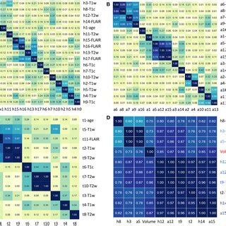 Correlation Heatmaps Between The Features That Have Been Selected By