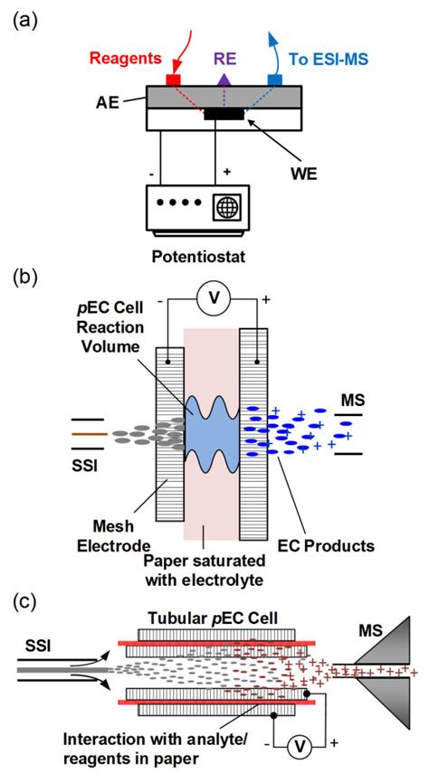 Combining Paper Based Electrochemistry And Mass Spectrometry Atlas Of