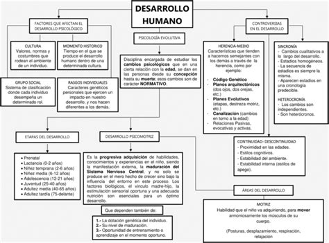 Mapa Conceptual Del Desarrollo Humano Pictures Coursera Porn Sex