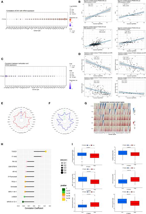 Frontiers Comprehensive Pan Cancer Analysis Of Ptges3 And Its