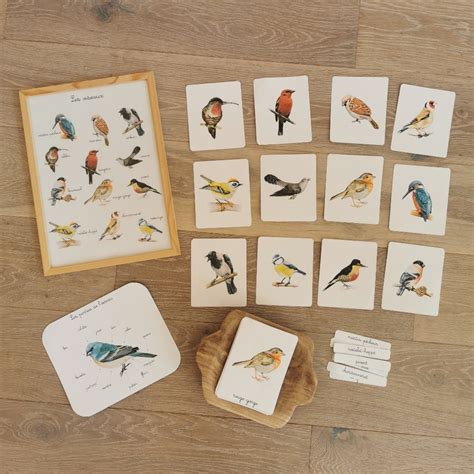 Les Oiseaux Home Flow Montessori