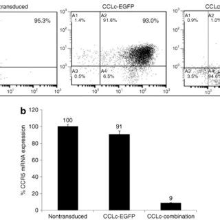 Downregulation Of CCR5 Surface Expression And MRNA Levels In Transduced