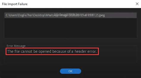 How To Fix The File Cannot Be Opened Because Of A Header Error In