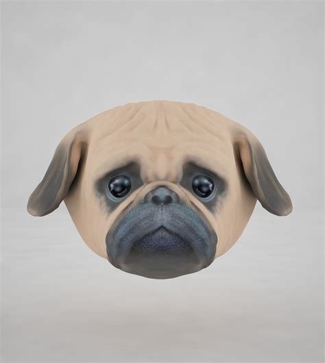 3D asset Pug Face | CGTrader