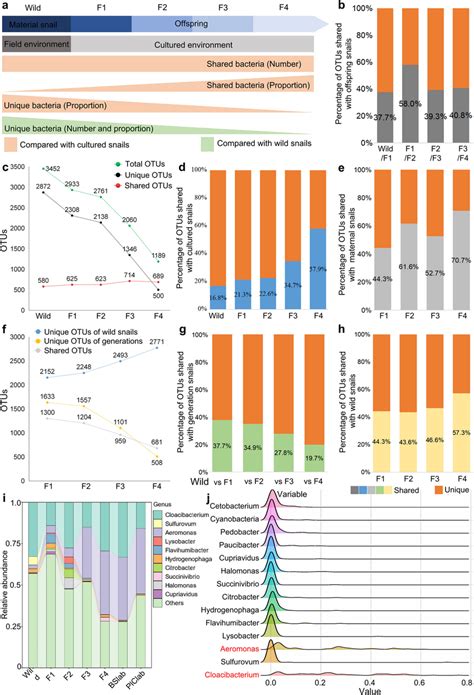 Overview Of The Vertical Transmission Of The Gut Microbiota Among