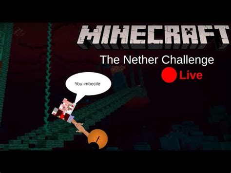 Nether Challenge With Gamingparts Doing Our Goals While He S