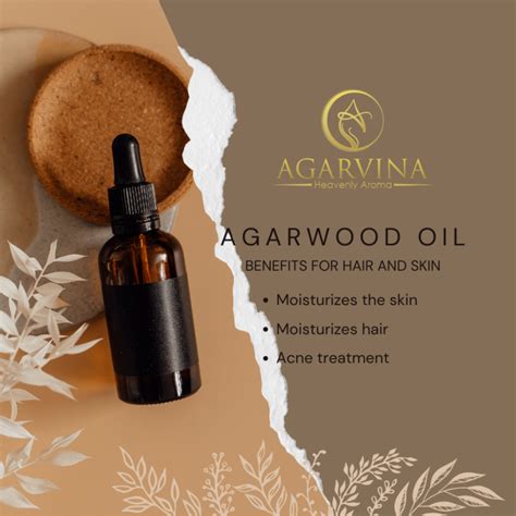precious spiritual values  agarwood chips tinh hoa tram viet