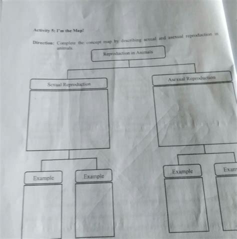 Direction Complete The Concept Map By Describing Sexual And Asexual