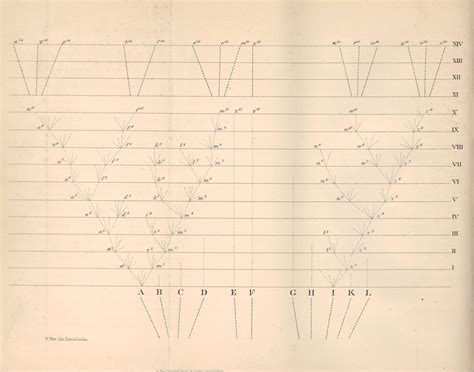 Charles Darwin Origin Of Species
