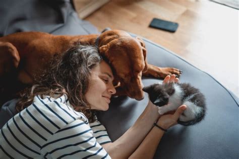 Benefits of the Human-Animal Bond - Petsyclopedia News