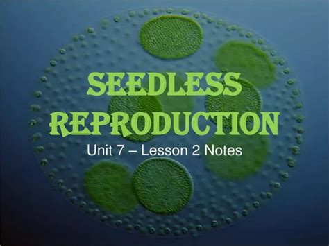 Ppt Seedless Reproduction Powerpoint Presentation Free Download Id