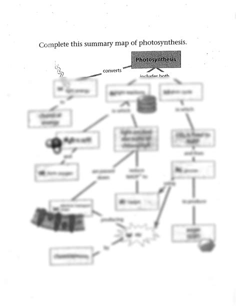 Solution Photosynthesis Concept Map Studypool