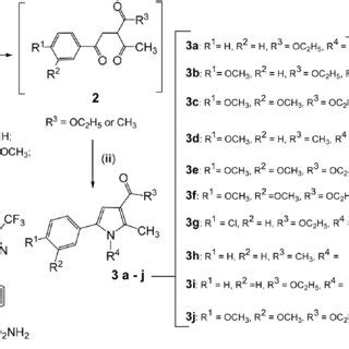 Scheme 1 Synthesis Of Compounds 3a J Via Paal Knorr Cyclization