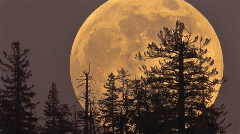 Superluna qué es la Luna de Nieve que se verá este martes y por qué