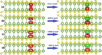 Antiferromagnetism In Gas Monolayer Doped With Tmtm Atom Pairs Tm V