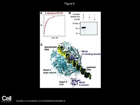 Structural Basis Of Core Promoter Recognition In A Primitive Eukaryote