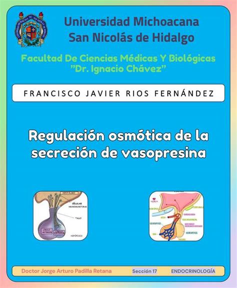 Regulaci N Osm Tica De La Secreci N De Vasopresina Adh Javier Rios