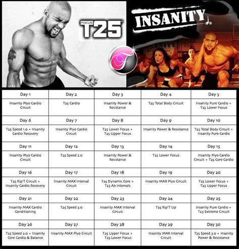 Shaun T Workout Calendar Willa Julianne