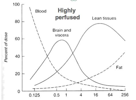 Pharmacokinetics PART 2 Flashcards Quizlet