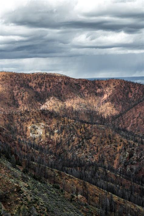 Waldo Canyon Fire Colorado Springs Stock Image Image Of Scenic