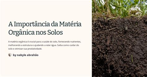 A Importância da Matéria Orgânica nos Solos