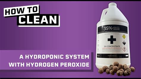 Maximizing Hydroponic Growth With Hydrogen Peroxide A Comprehensive