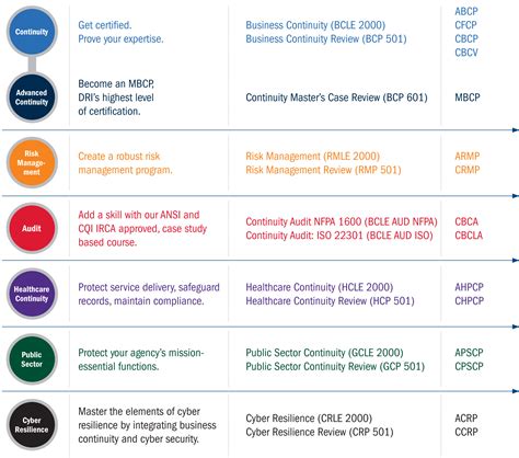 Career guides explain what traine certification actually offers 20