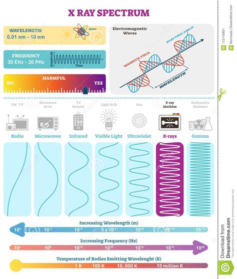 Electromagnetic Waves: Radio Wave Spectrum. Vector Illustration Diagram ...