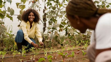 Agricultura Sustentável Cultive O Futuro Com Soluções Inteligentes