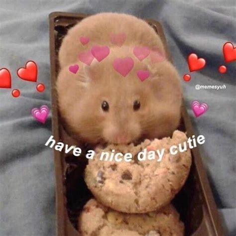 Wholesome Supportive Memes To Send To Loved Ones Memebase