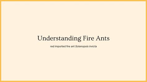 Fire Ant Control Methods That Work Fullscope Pest Control