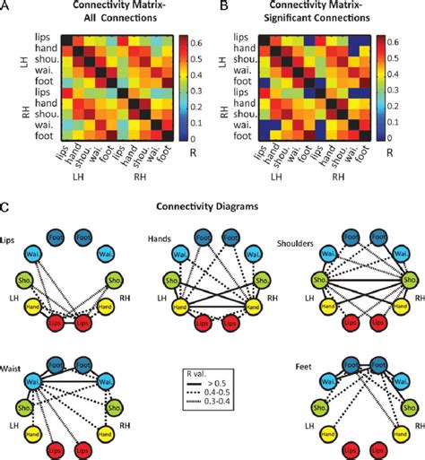 Topographic Organization Of Roi Based Functional Connectivity Within