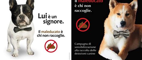 Chi raccoglie semina civiltà e non prende multe ad Albenga campagna