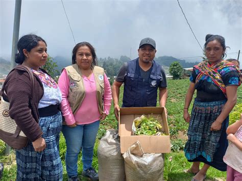 Promueven Huertos Familiares Para Fortalecer La Seguridad Alimentaria Y