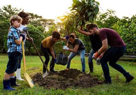 Grupo de personas plantar un árbol juntos al aire libre Foto Premium