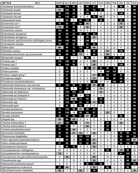 Api 20e Code Book Pdf FULL