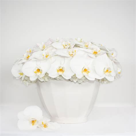 Minimalist Bliss – Empty Vase