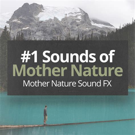 Sounds Of Mother Nature Album De Mother Nature Sound Fx Spotify