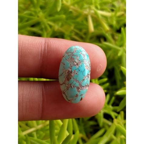 Jual NATURAL PIRUS PERSIA GRADASI WARNA ANTIK TOP GRADE ITEM Shopee