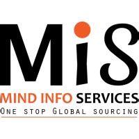 mind info services p  linkedin