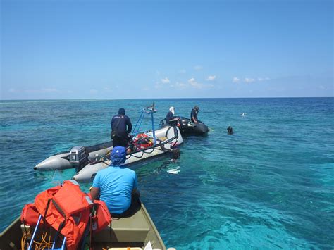 poor condition  reefs   west philippine sea reveals