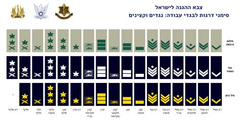 IDF Rank Insignia